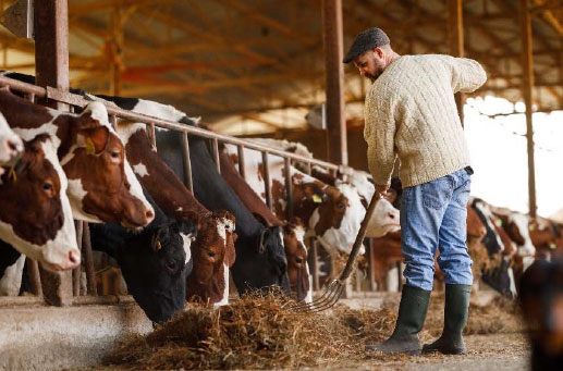 Hudson Valley Sustainable Farming