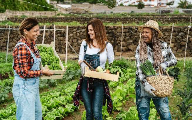Food distribution system for delivering upstate farm products to NYC