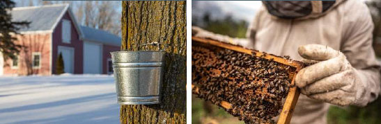 Upstate New York Maple sypup and Honey